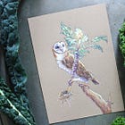 The patterns within Ordinary Time II