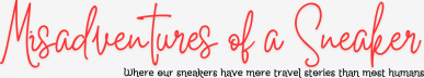 Misadventures of a Sneaker