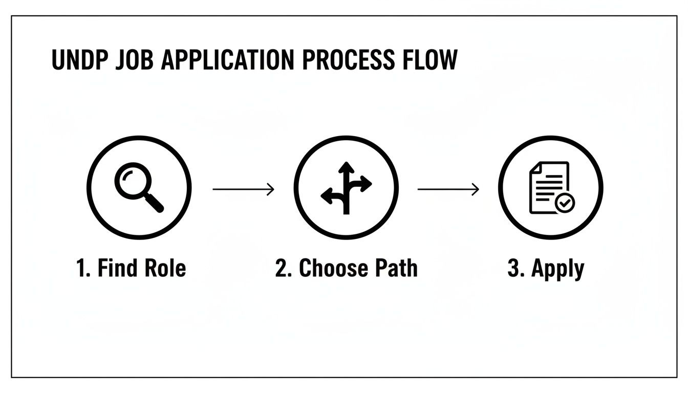UNDP job application process flowchart showing three steps: Find Role, Choose Path, and Apply.