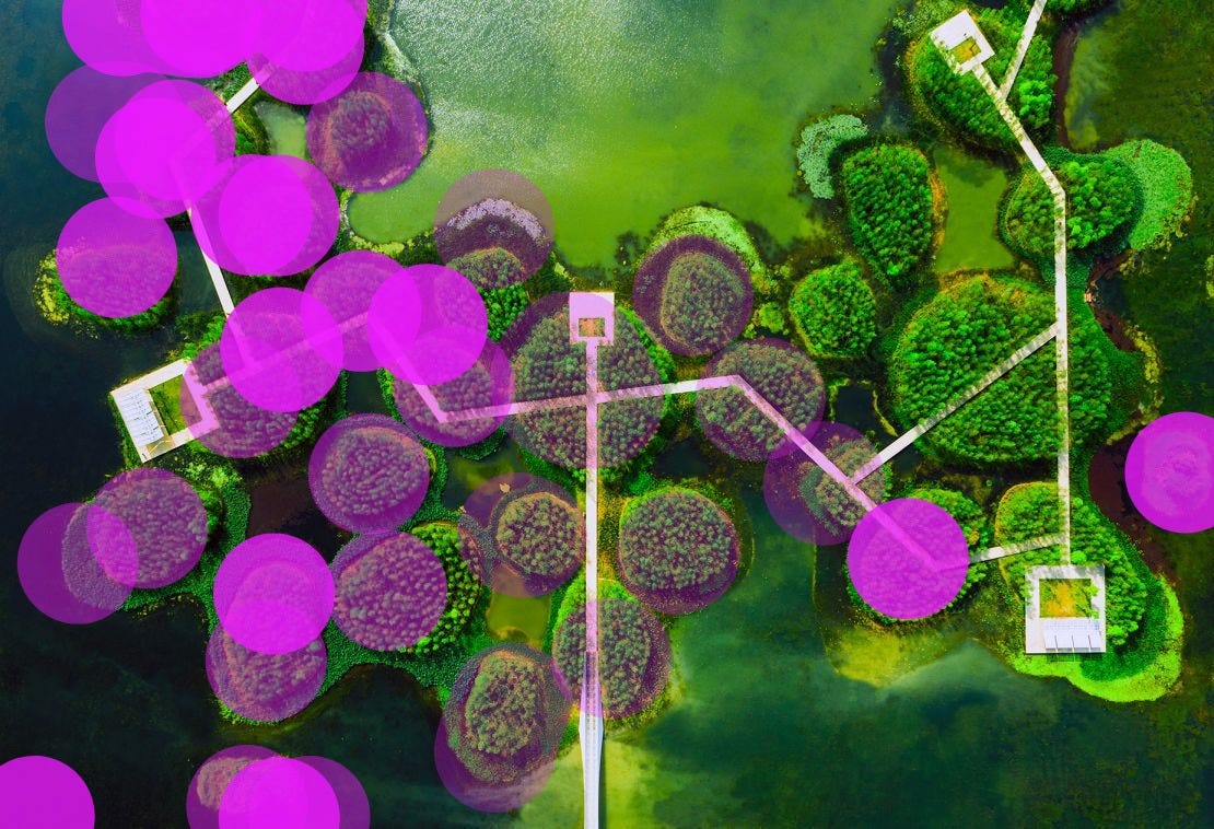 The Nanchang Fish Tail Park, in China's Jiangxi province, saw Turenscape transform a polluted former fish farm and coal ash dump site into a 126-acre "floating forest." Small islands with dawn redwoods and two types of cypress help regulate storm water and provide a habitat for wildlife. The Nanchang Fish Tail Park, in China's Jiangxi province, saw Turenscape transform a polluted former fish farm and coal ash dump site into a 126-acre "floating forest." Small islands with dawn redwoods and two types of cypress help regulate storm water and provide a habitat for wildlife.