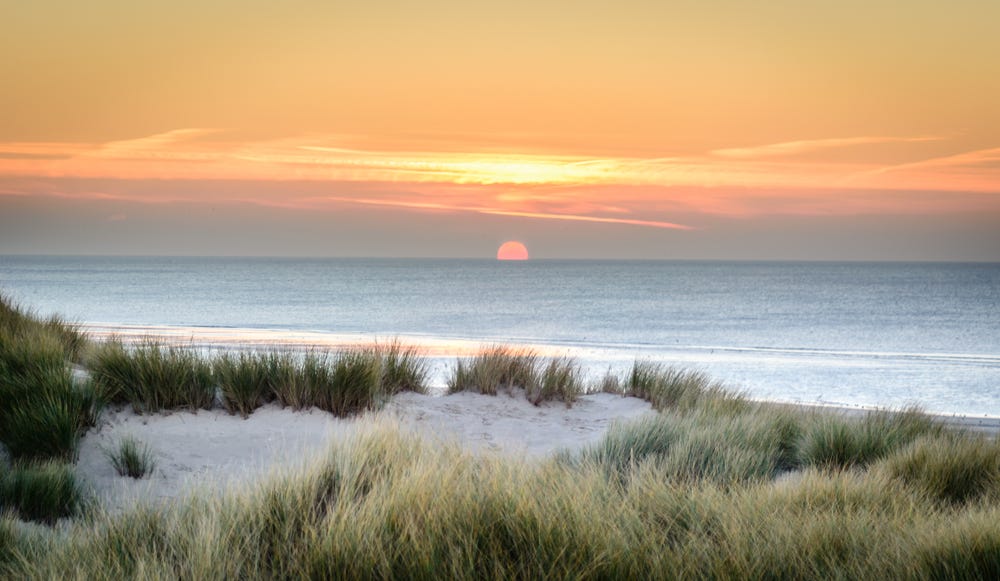May be an image of twilight, horizon, grass, ocean, beach and nature