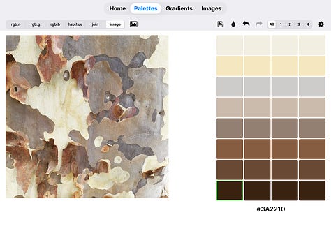 rgbDesigner palettes made from photos of bark