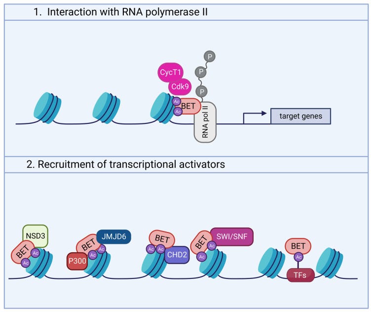 An external file that holds a picture, illustration, etc.
Object name is biomedicines-11-00750-g001.jpg An external file that holds a picture, illustration, etc.
Object name is biomedicines-11-00750-g001.jpg