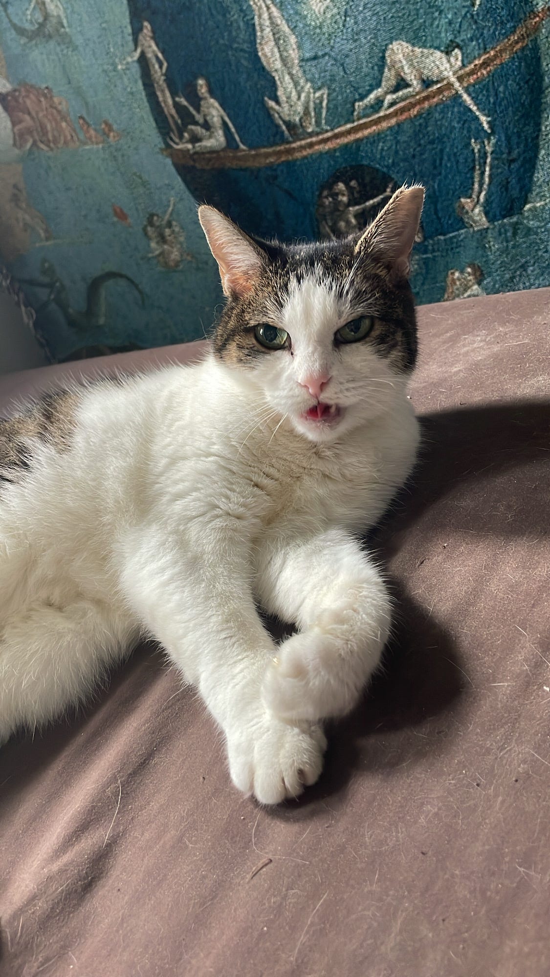 ronni, a weird tabby-ish cat, lounging on bed showing one of her teeth