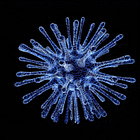 The SPARS pandemic 2025-2028