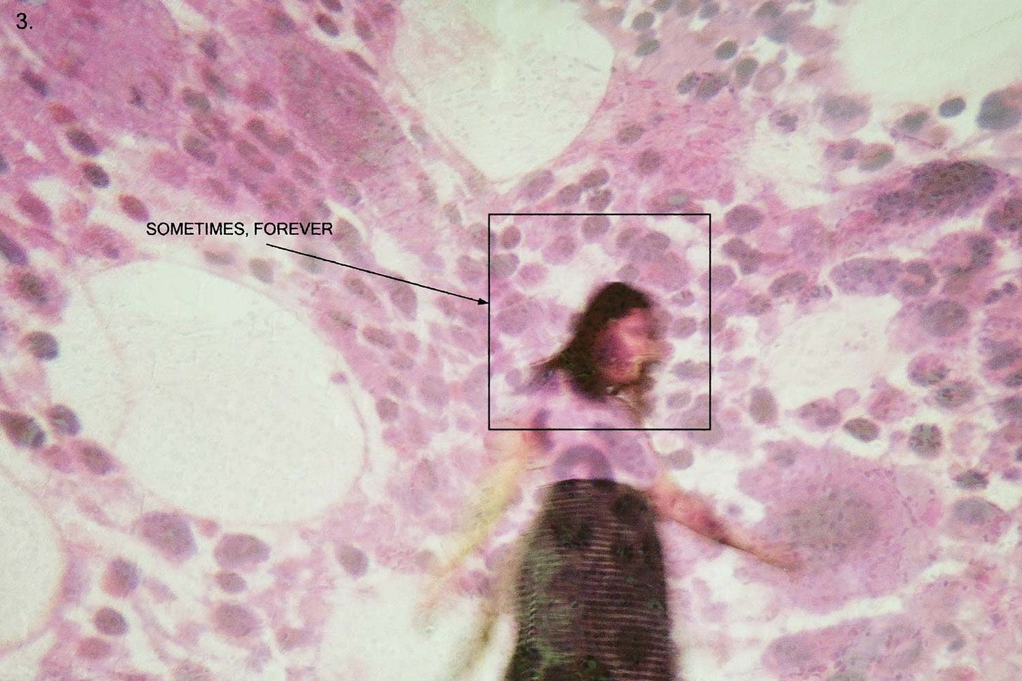 Soccer Mommy: Sometimes, Forever Album Review | Pitchfork