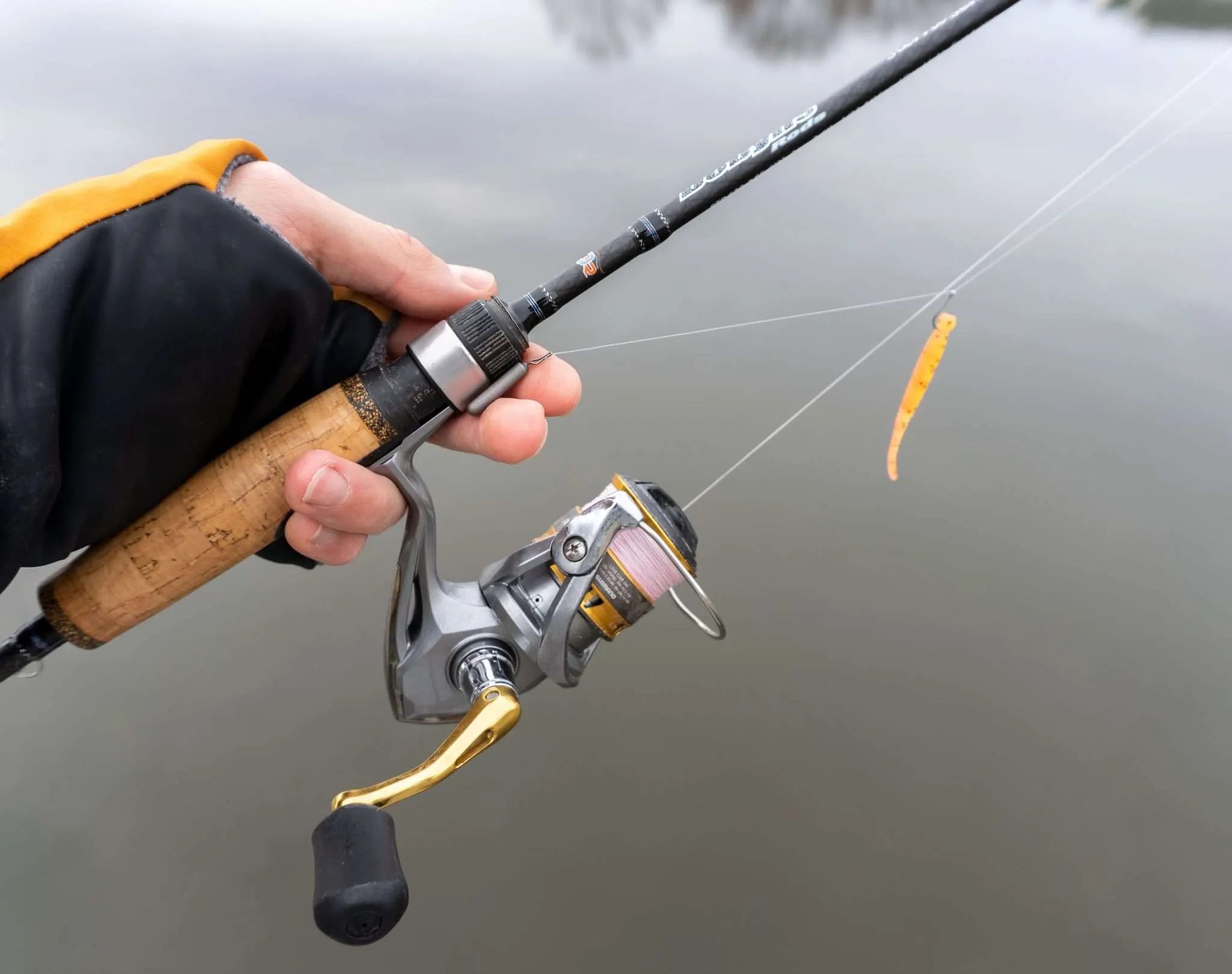 095d7629-9180-415f-b920-