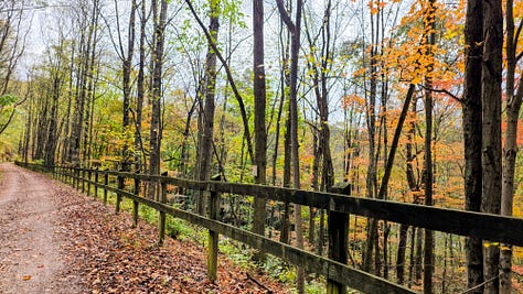 Scenes on the Great Allegheny Passage to Confluence ence