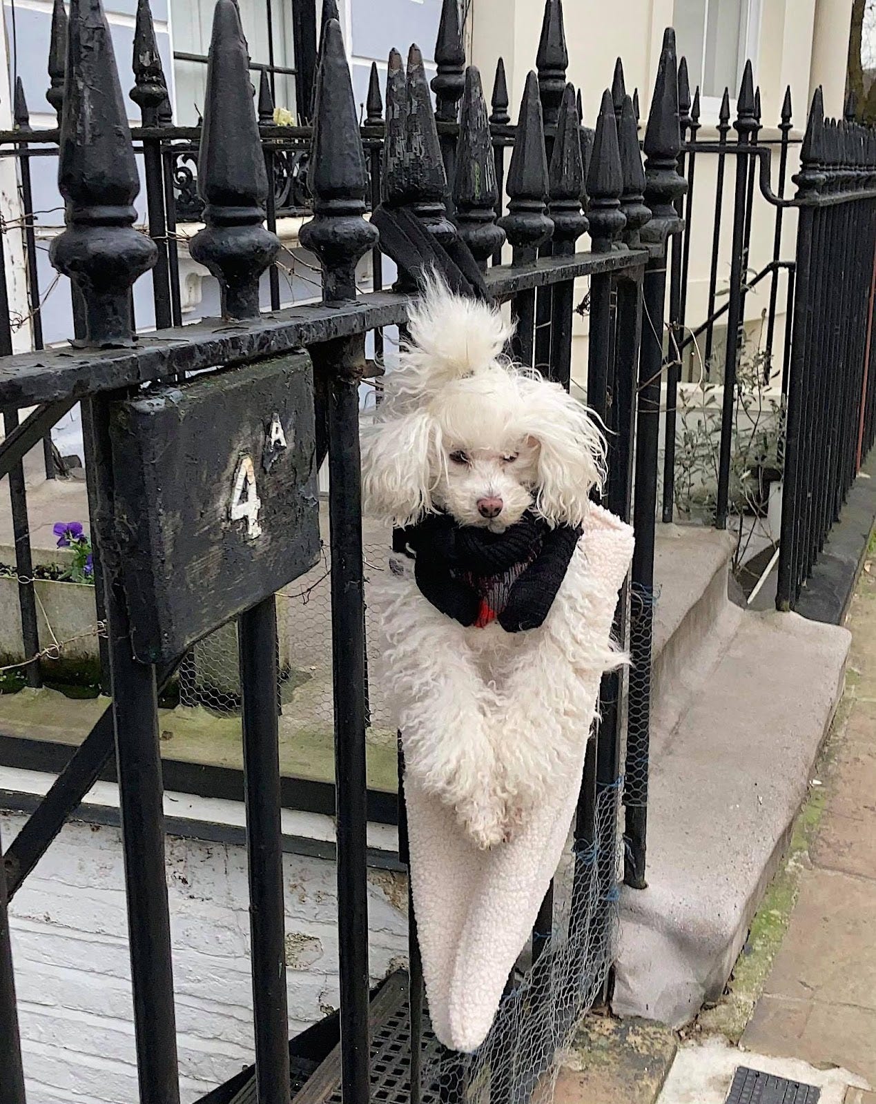  Pensmom:Users:janetdulinjones:Desktop:Hang in there baby Pen Jan 2021.jpg