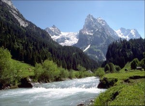 The Witness of Nature