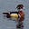 Jack Delehanty's avatar