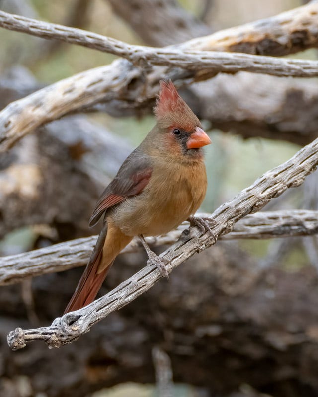 20250127-MBY-37-Edit.jpg 20250127-MBY-37-Edit.jpg