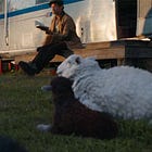 ‘Babe’ meets ‘Knives Out’ in delightful, well-made ‘The Sheep Detectives’