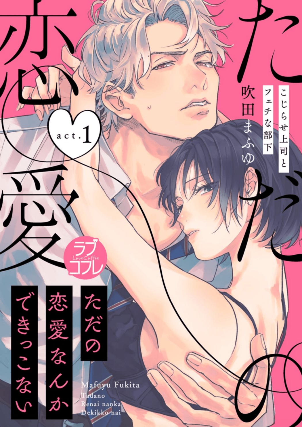 Cover of Tadano Renai Nanka Dekikko Nai by Mafuyu Fukita featuring the two leads