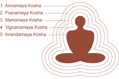 Năm thể của con người