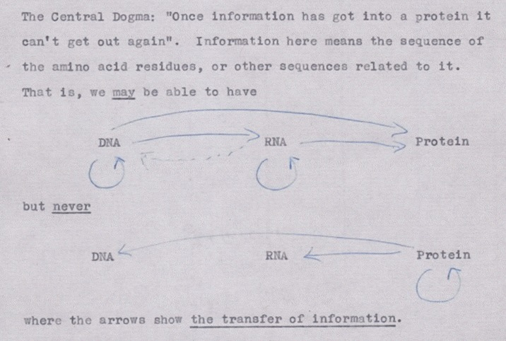 An external file that holds a picture, illustration, etc.
Object name is pbio.2003243.g001.jpg An external file that holds a picture, illustration, etc.
Object name is pbio.2003243.g001.jpg