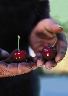 Samuel Adamson: The Essence of the Thing