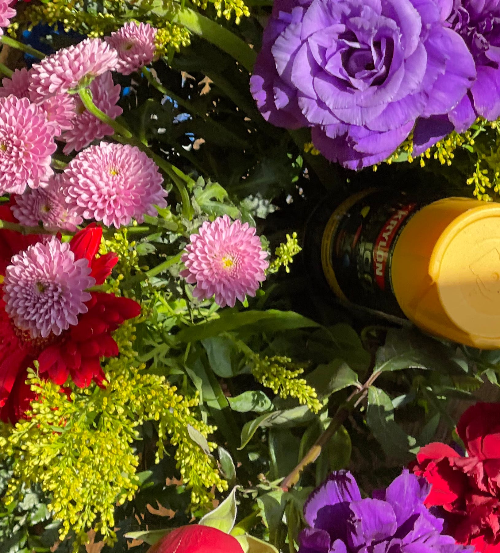 Dispatches from New Dithyrambia