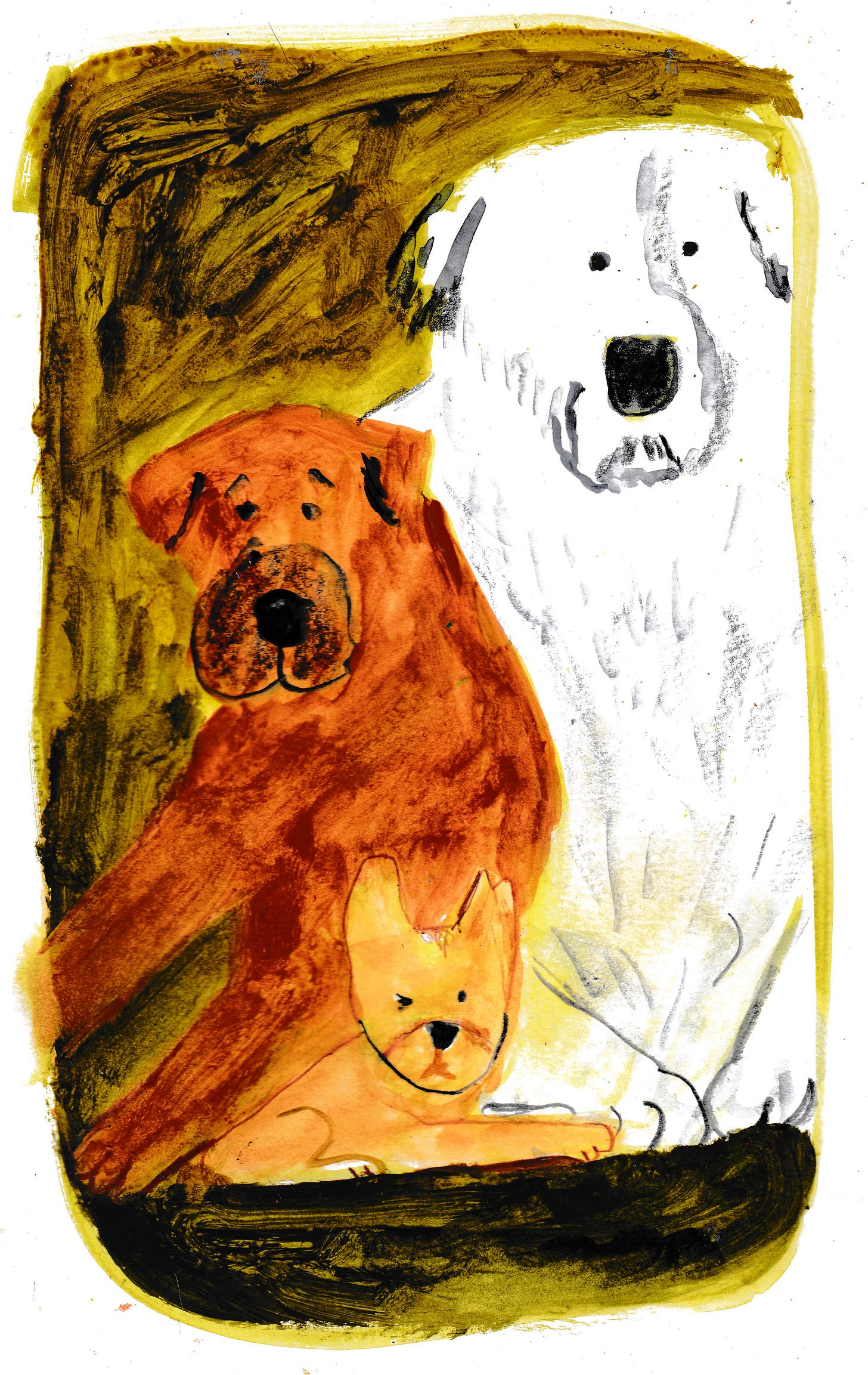 portrait of three dogs by Beth Spencer