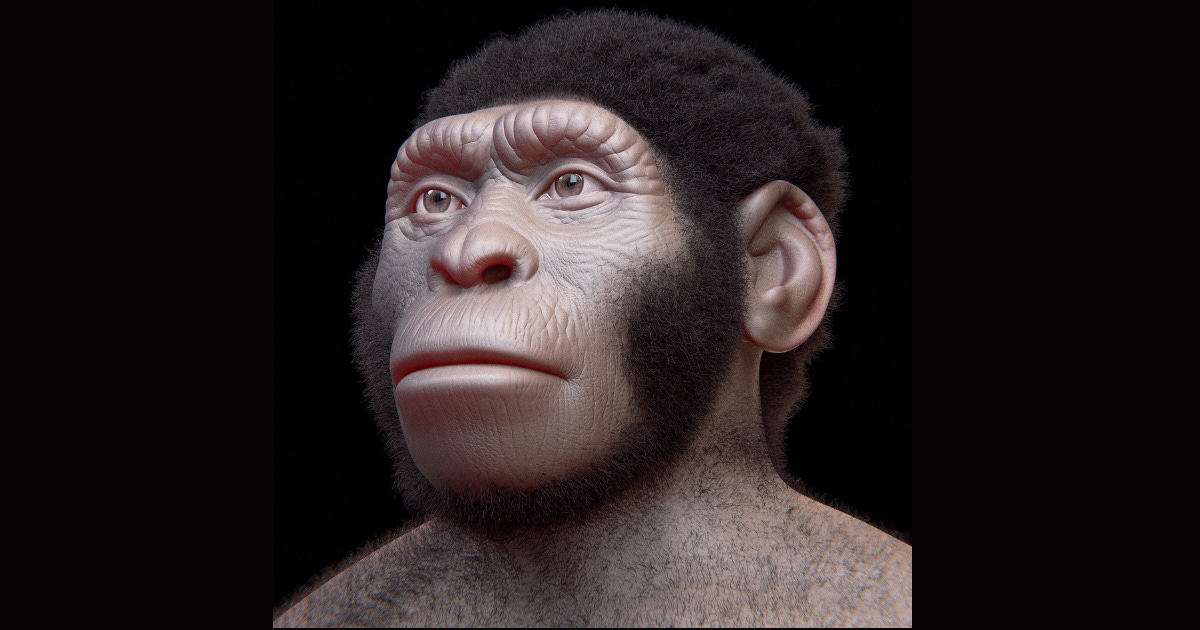 A facial reconstruction of Homo naledi