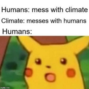Internet Memes and their Role in Environmental Communication –
