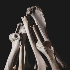 Why Does a Tiny Crack Become a Broken Hip? The Materials Science Behind Bone Failure.
