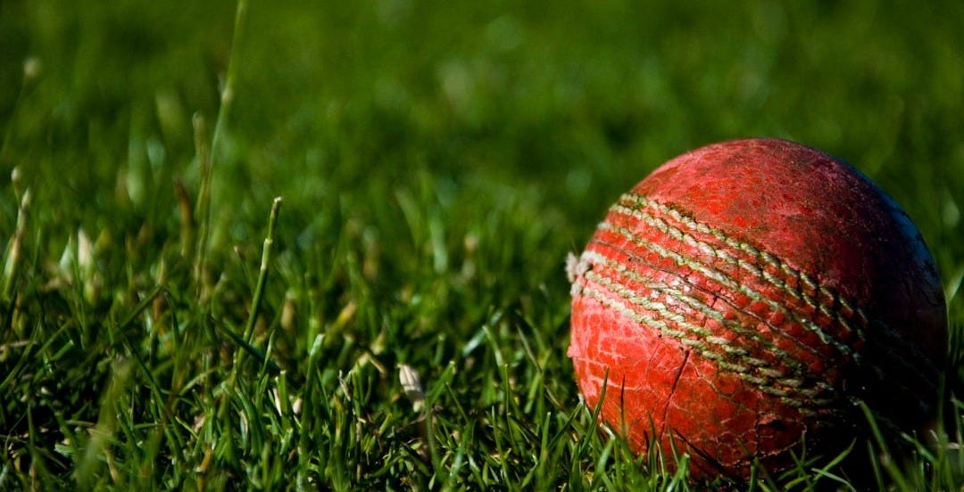shallow focus photography of red cricket ball