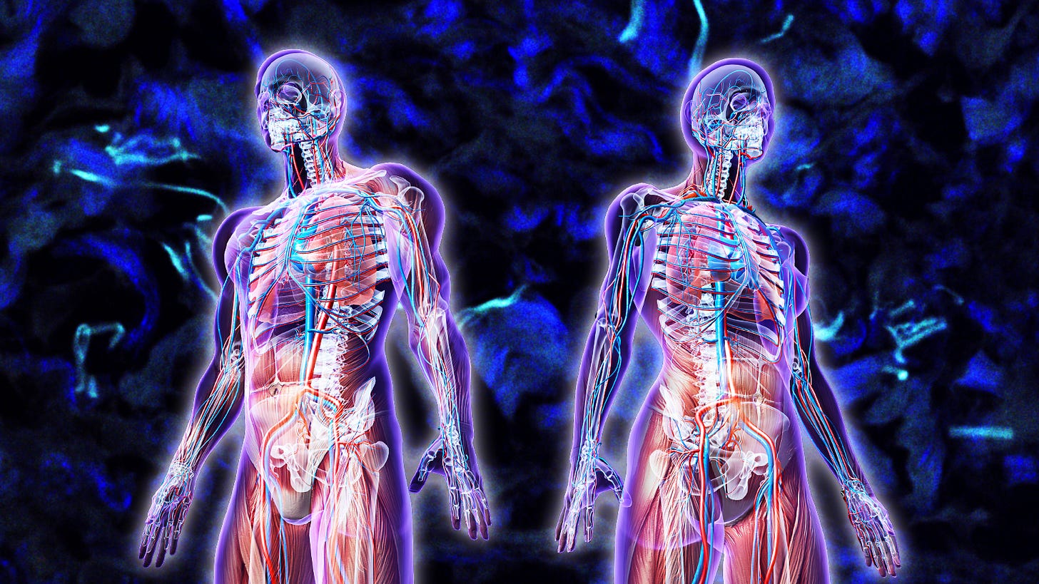 The Interstitium, the Largest Organ We Never Knew We Had