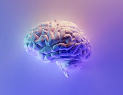 blue and green peacock feather