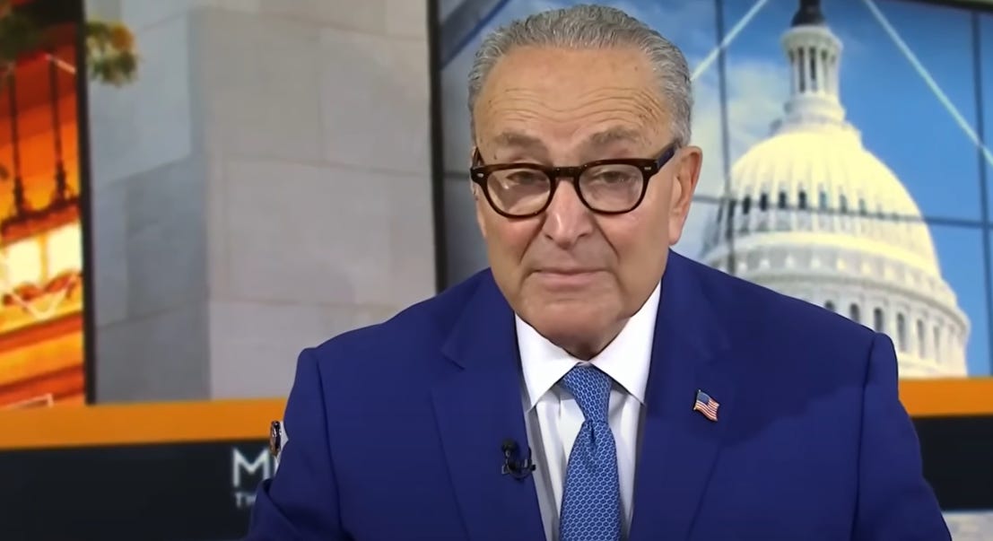 Chuck Schumer Obliterates Trump's Shutdown Threats