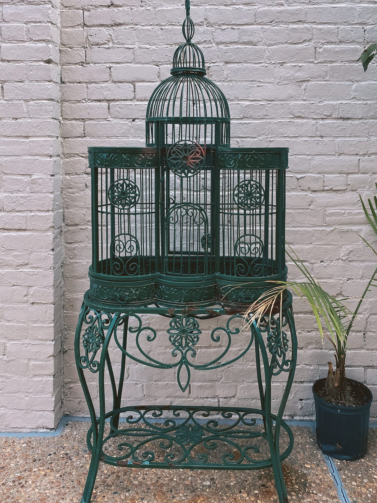 Ornate, dark green, vintage-style metal bird cage on a matching stand, placed outdoors against a light-colored brick wall with a small potted palm, symbolizing the theme of personal freedom and living without self-imposed constraints. Ornate, dark green, vintage-style metal bird cage on a matching stand, placed outdoors against a light-colored brick wall with a small potted palm, symbolizing the theme of personal freedom and living without self-imposed constraints.