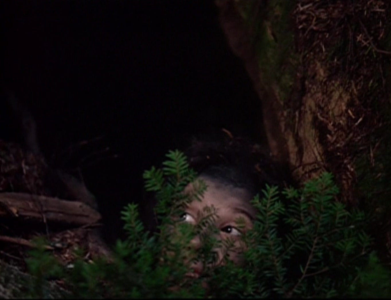 Jersey Devil Studies: The X-Files | by Bill Sprouse | Medium