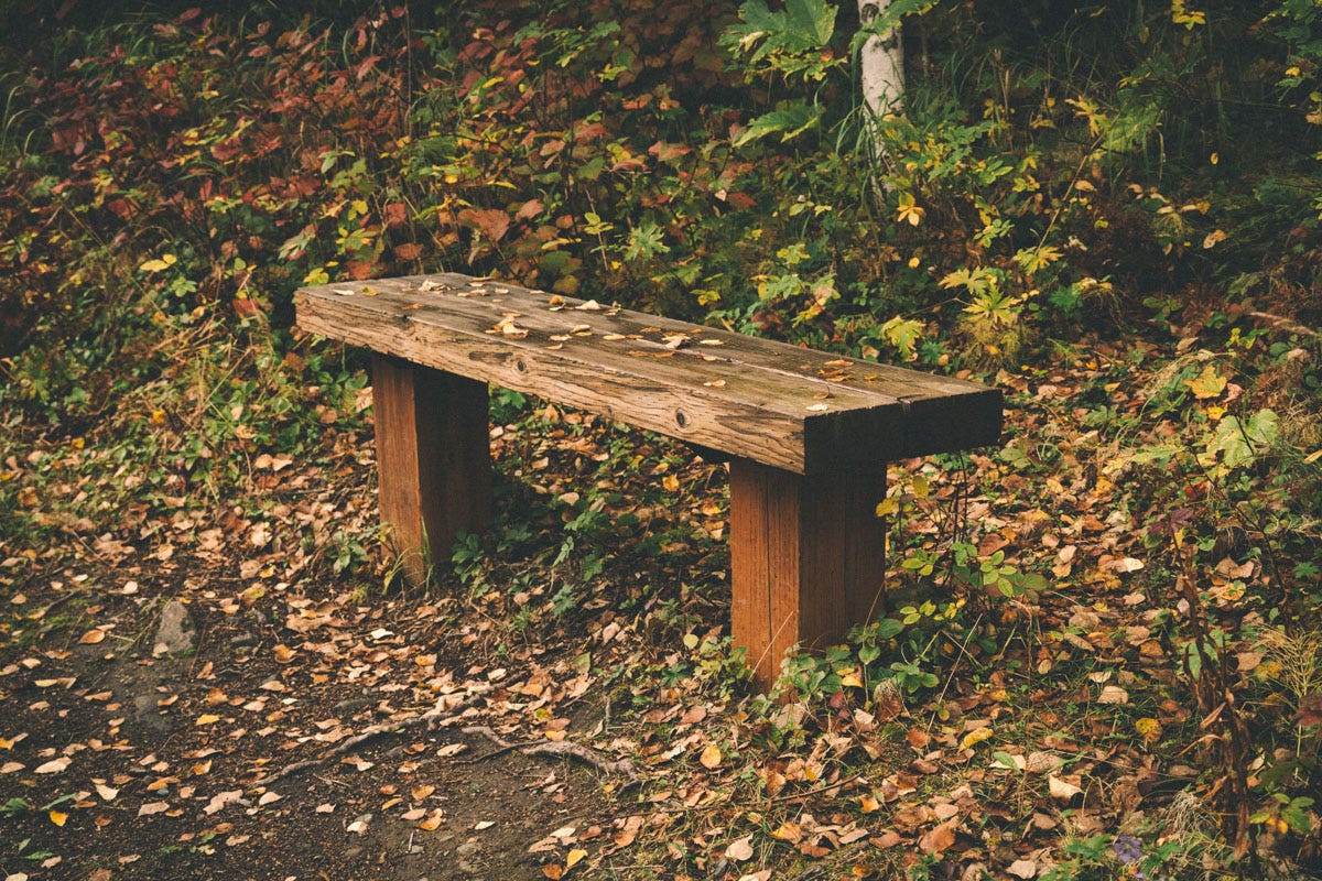 A bench along the Rodak Nature Trail, Chugach State Park.