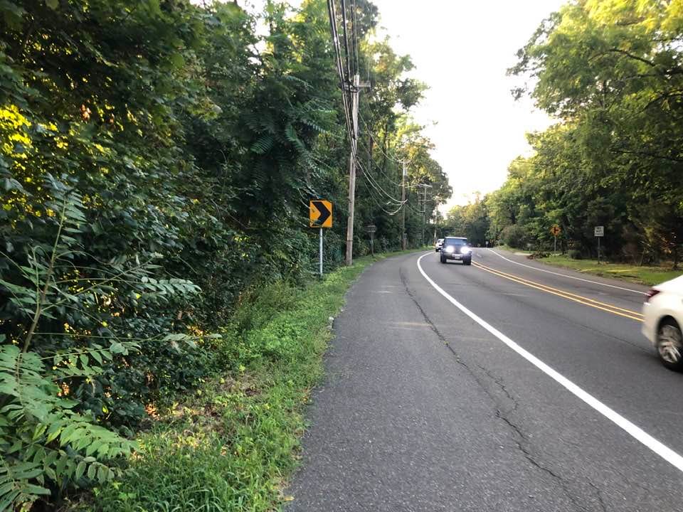 May be an image of road and grass