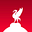 The Liverbird Post's avatar