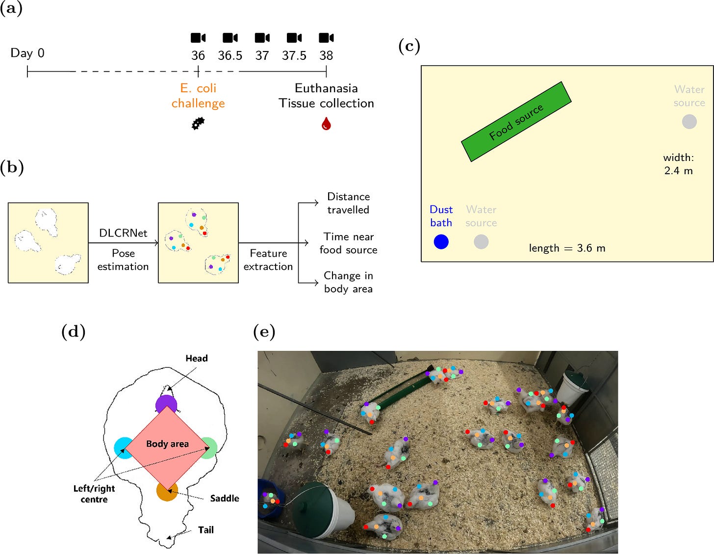 Experimental setup Experimental setup