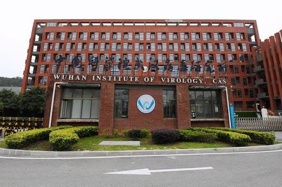 Federal watchdog finds problems with NIH oversight of grant funding bat virus research in China | Science | AAAS Federal watchdog finds problems with NIH oversight of grant funding bat virus research in China | Science | AAAS