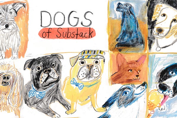 Drawing Session Replays | Introvert Drawing Club | Beth Spencer | Substack