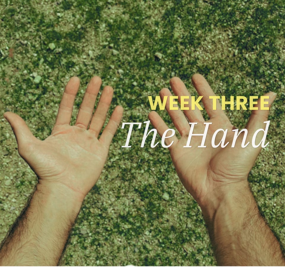 Week 3 · Day 4 — The Hand