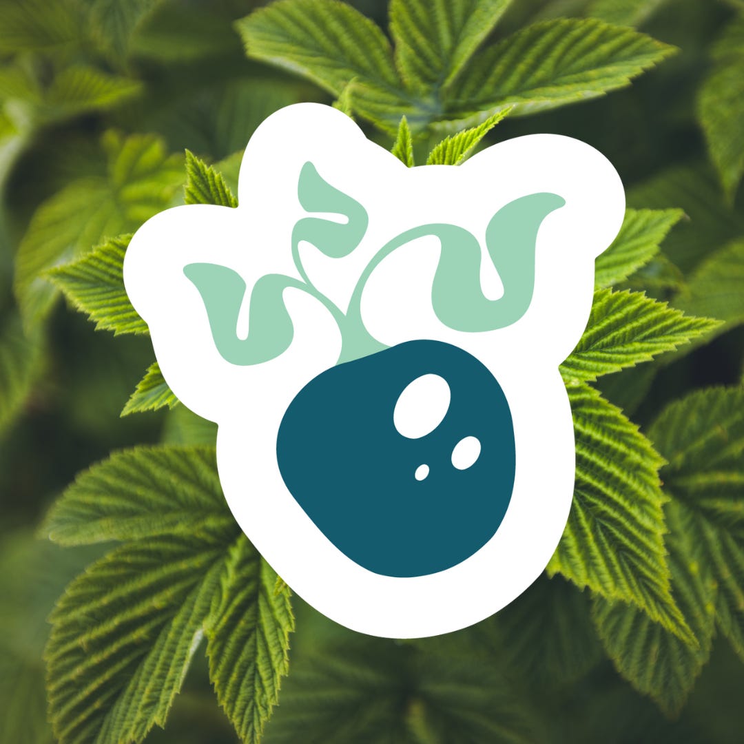 Blue Raspberry Patch