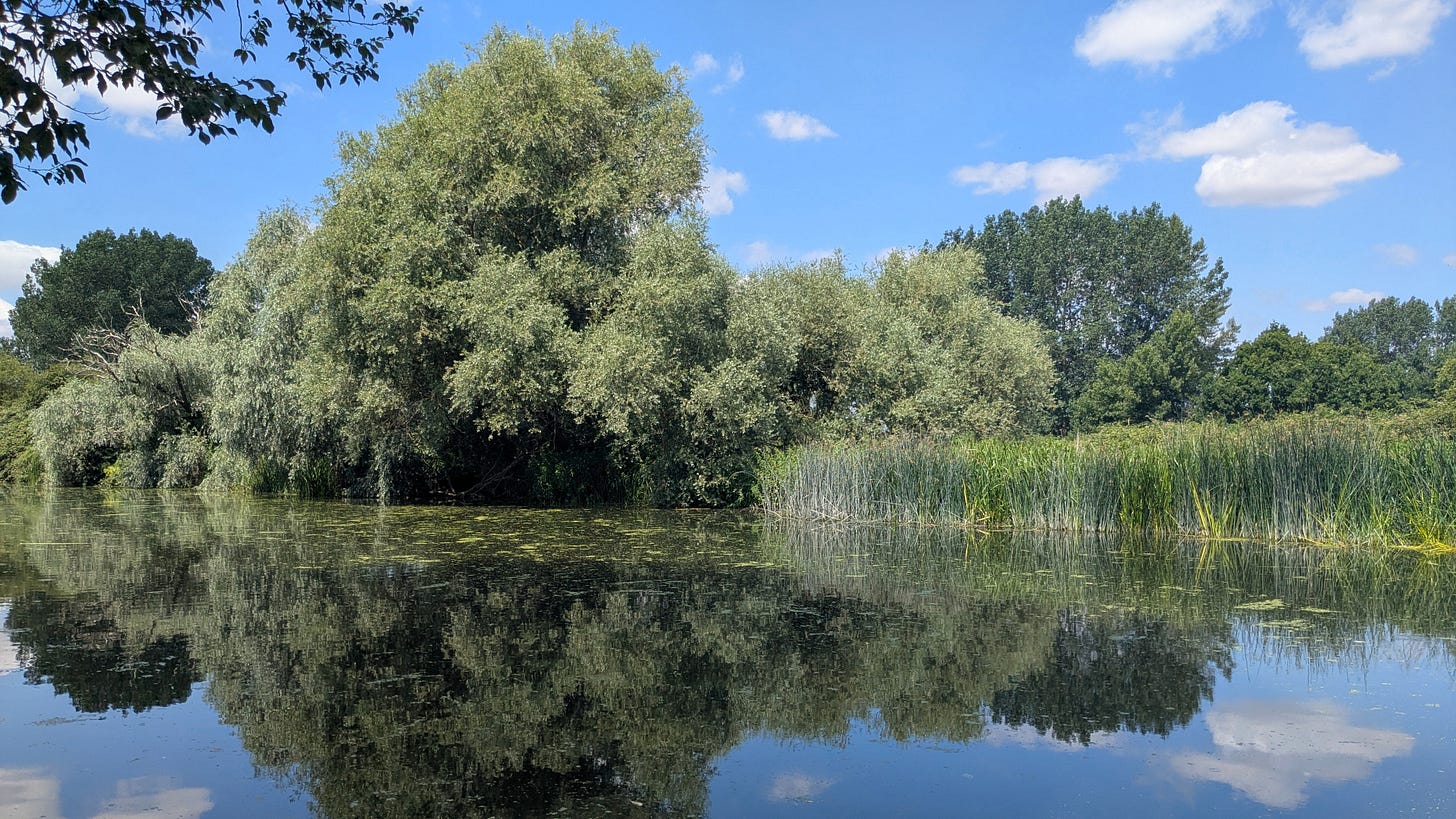 River Great Ouse, Hemingford Grey