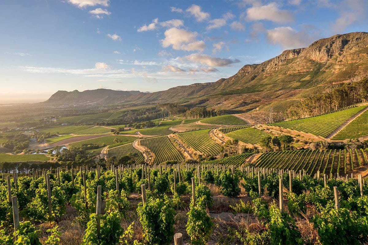 Groot Constantia Wine Farm - Sport Helicopters Cape Town