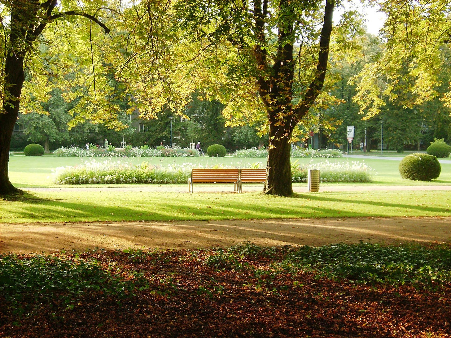 A park during daytime.