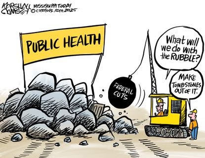 Political Cartoon