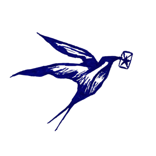 somewhere on the internet