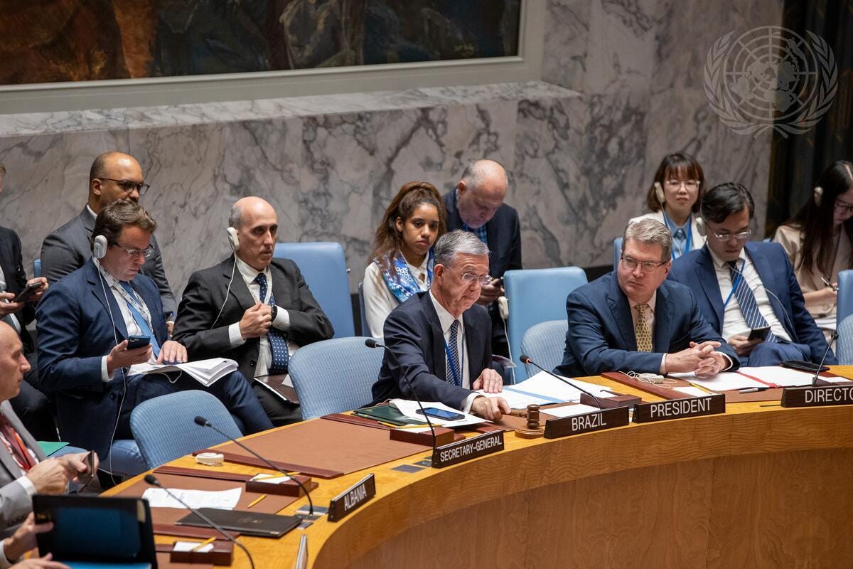 United Nations Security Council |