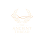 The Ancient Thread's avatar