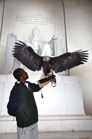 Earth Conservation Corps brings bald eagles back to the Nation’s Capitol.