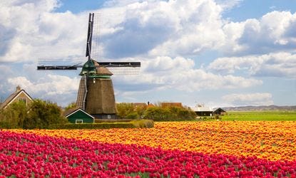 The Netherlands, Holland, and the Dutch: Why some countries have so many  different names | The Week
