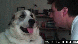 face slap GIF face slap GIF